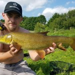 summer barbel on the fly