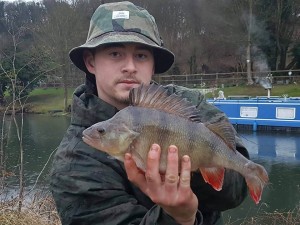 Big perch sinking fly